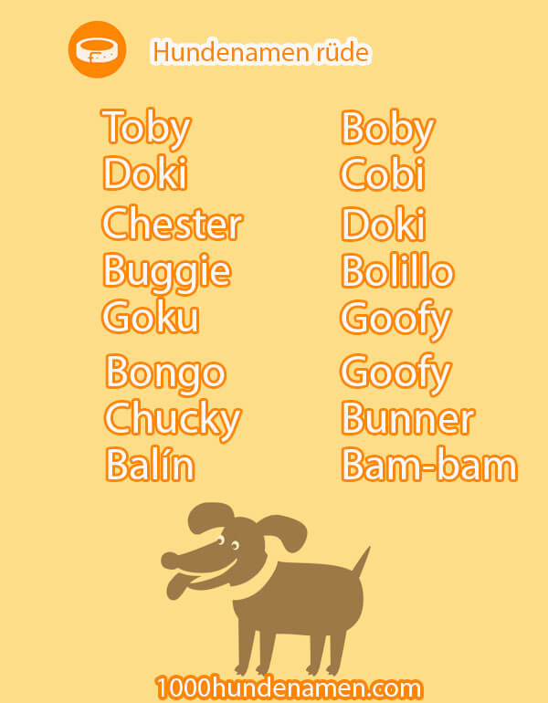 Extravagant Names For Dogs Extravagant Names For Dogs