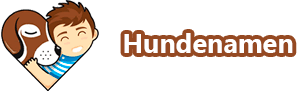 hundenamen