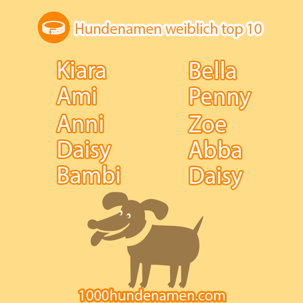 hundenamen weiblich top 10