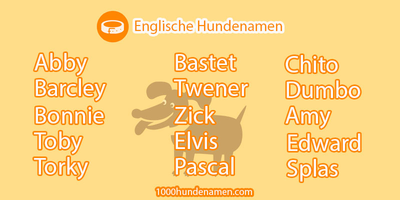  englische hundenamen photo 