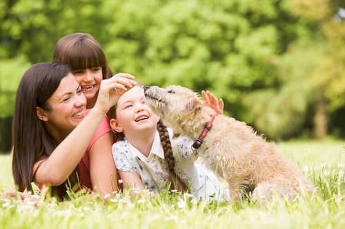 Familie mit ihrem Hund