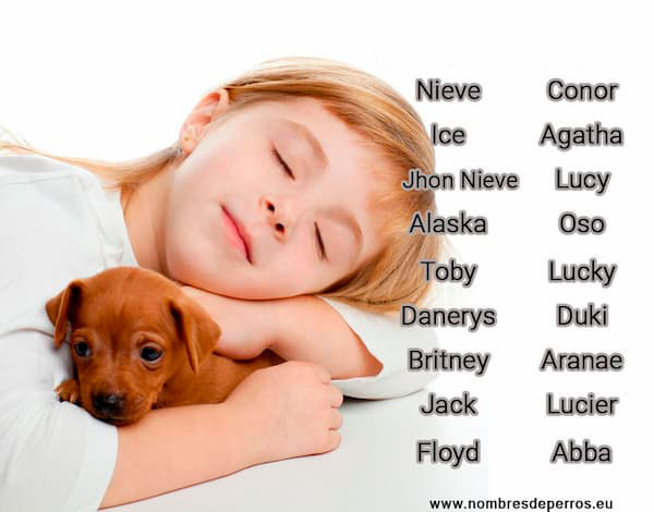 owalo design Coole Hunde Namen