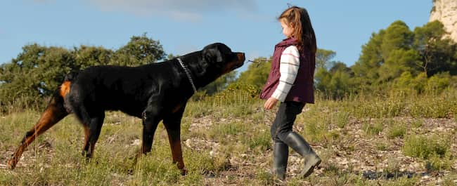 Russisches Mädchen mit ihrem Rottweiler-Hund