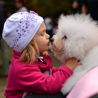 kleines Mädchen mit ihrem zweijährigen weißen Hund