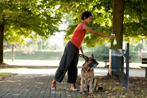 Koreanische Frau mit ihrem Schäferhundhund