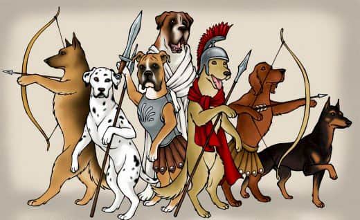 beste römische Namen für Ihren Hund